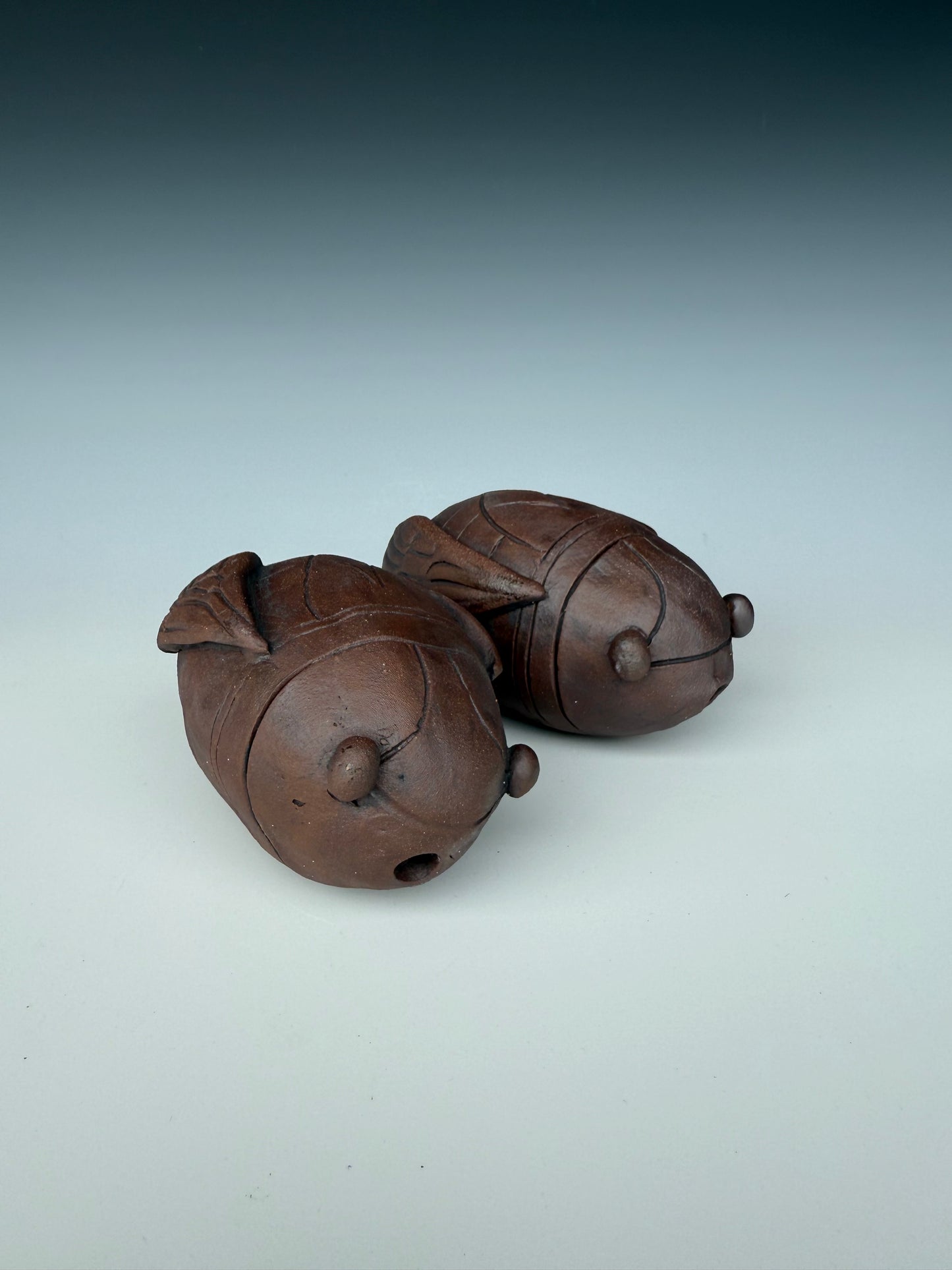 Cicada Shaker