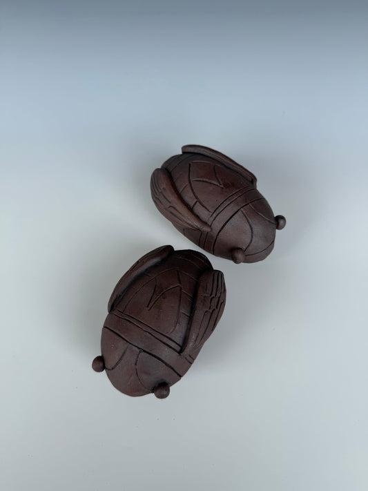 Cicada Shaker